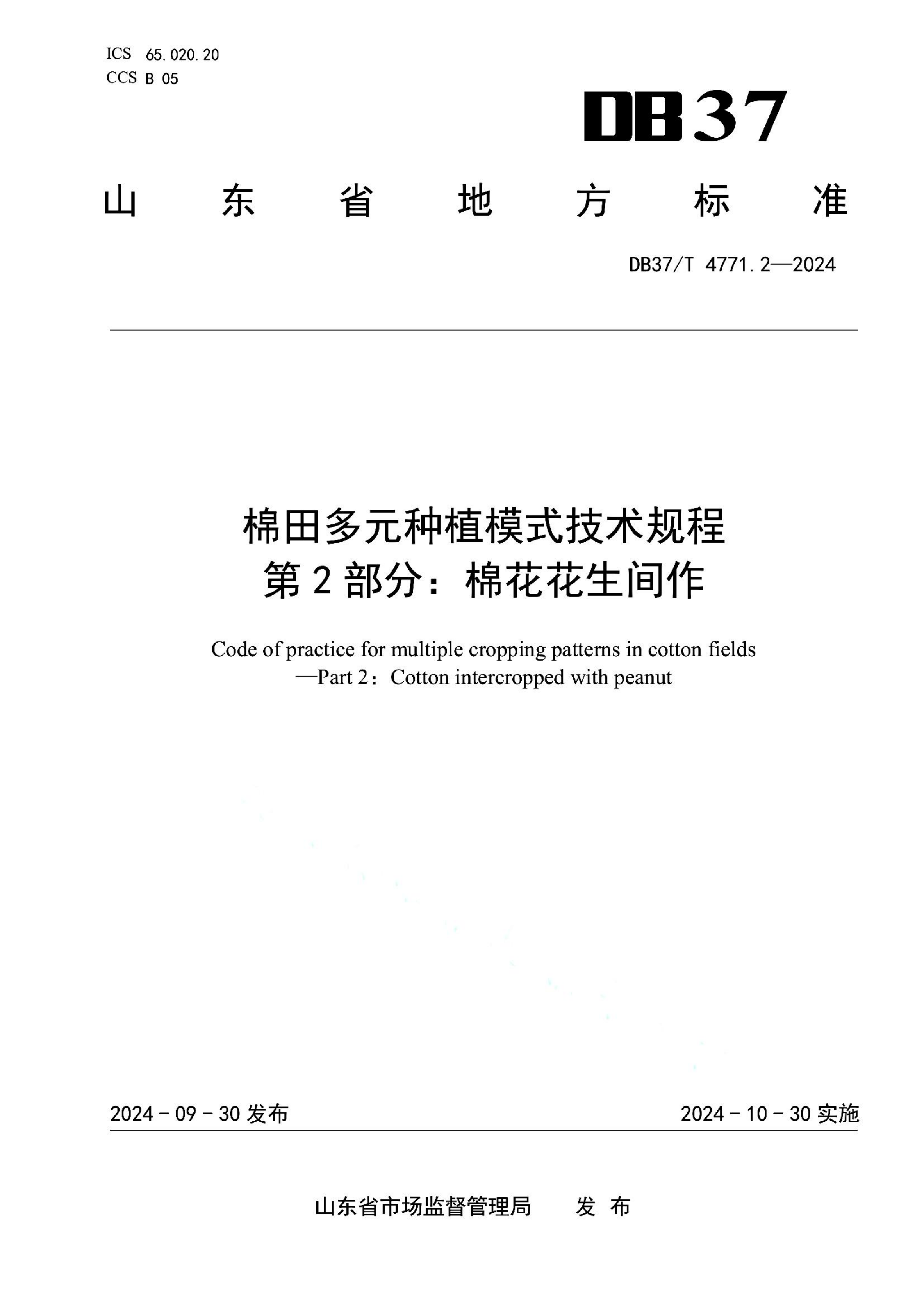 资源详情图
